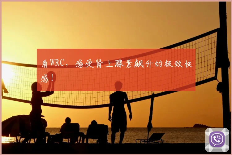 看WRC,感受肾上腺素飙升的极致快感!