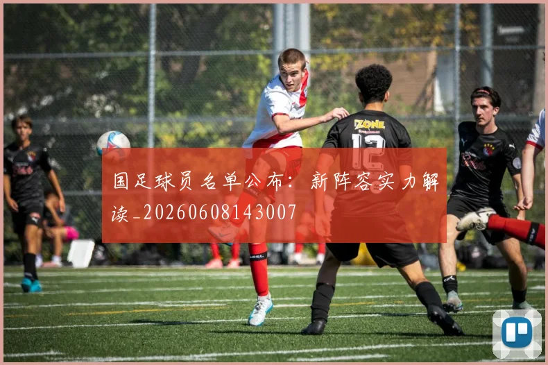国足球员名单公布：新阵容实力解读_20260608143007