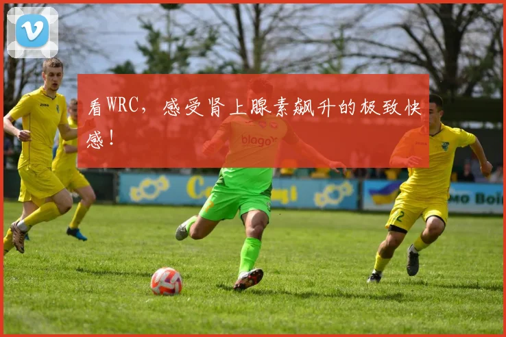 看WRC,感受肾上腺素飙升的极致快感!